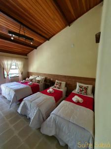 皮拉伊河畔巴拉Pousada Recanto da Lunane的一间客房内的四张床