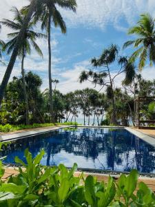 坦加拉桑吉士海边小屋的一座棕榈树环绕的海滨游泳池