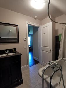 弗雷德里克顿By The River B&B的客房内的浴室设有水槽和镜子