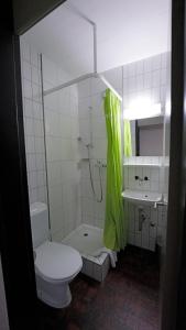 卢塞恩卢塞恩青年旅舍的一间带卫生间和水槽的浴室