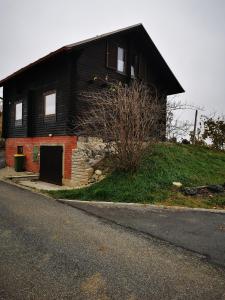 柳托梅尔Apartma med vinogradi的山边的黑色房子
