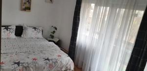 阿尔杰什河畔库尔泰亚Vila Curtea de Arges的一间卧室配有床和白色窗帘的窗户