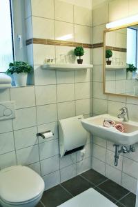 特赖斯-卡尔登奥斯特曼酒店的一间带卫生间和水槽的浴室
