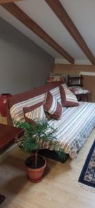 拉瓜迪亚ático的卧室配有一张铺着盆栽植物的床。