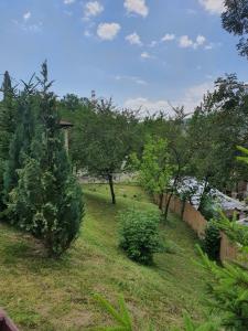 科马尔尼克Casa de vacanta Isabelle的一座有树木、栅栏和草地的院子