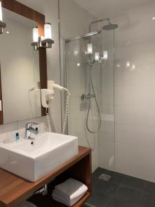 Terborg泰尔博赫德鲁德莱乌酒店的一间带水槽和淋浴的浴室