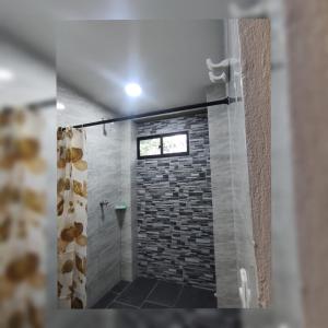 内科克利Cabañas El Olimpo的一间设有砖墙淋浴的浴室