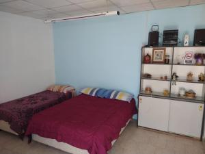 西波列蒂Departamentos Fuentes的一间卧室设有一张床和一个书架