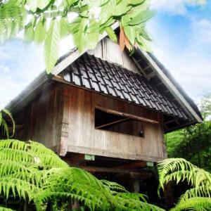塞莱马德加巴厘岛芒廷山林小屋的森林中带茅草屋顶的树屋