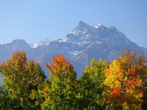 山景或在公寓看到的山景