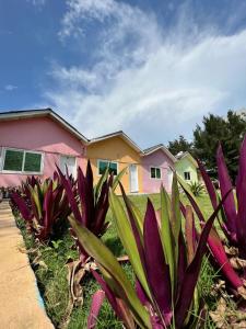 科托努Tahiti Hotel的前面有紫色植物的房子