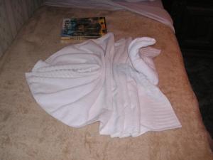 法克湖Ferienwohnungen Miklautsch的书旁边的床上铺着白色毛巾