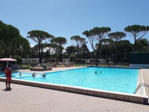 毕博纳的码头Apartment Campeggio del Forte-1 by Interhome的一群人在游泳池游泳