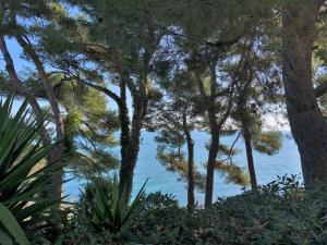 佩达索Apartment Tondini by Interhome的透过一组树木欣赏海景