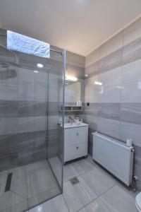 瓦杜伊泽Pensiunea RAVHOUSE的一间带玻璃淋浴和水槽的浴室