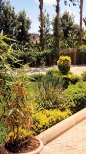 ThikaBloom private home的公园里种有鲜花和植物的花园