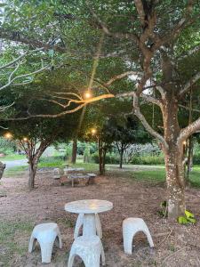 帕夭บ้านสวนวงศ์จินดารักษ์的在有树的公园里野餐桌和长椅