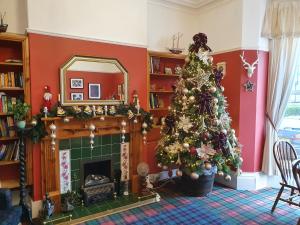 绍斯波特The Braemar Southport的客厅配有圣诞树和壁炉