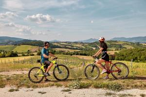 马泰利卡Tenuta Grimaldi Wine Resort的两个人骑着自行车在山坡上