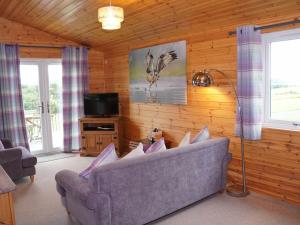 金罗斯Chalet Osprey Lodge by Interhome的带沙发和电视的客厅