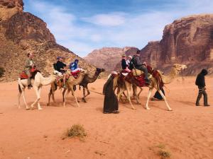 瓦迪拉姆Wadi Rum Cave Camp &Jeep Tour的一群人在沙漠骑骆驼