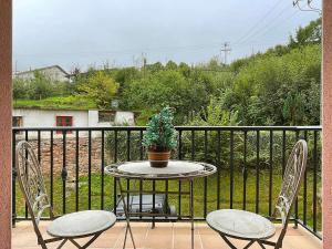 埃利松多Apartamento Baztán的阳台上的桌子、两把椅子和盆栽植物