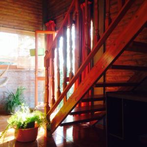 Estancia ViejaCasa Vieja Estancia的木楼梯,位于一个栽有盆子的房间里