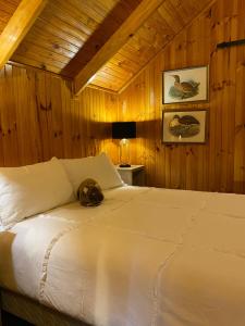 TullahThe Wombat Cottage的卧室配有一张床,上面放着一只猫