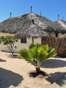 MambruiMambrui Golden Beach Bar and Cottages的小屋前面有棕榈树