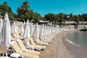 迪迪姆Anadolu Hotels Didim Club - Ultra All Inclusive ex Palmwings的海滩上的一排椅子和遮阳伞