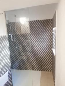 锡拉库扎加加略酒店的带淋浴的浴室和玻璃门