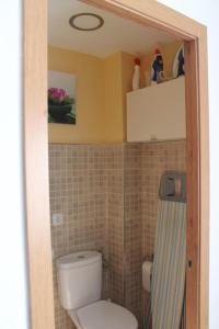 特尔德Casa Alisios的浴室配有白色卫生间和淋浴。