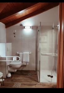 StremboAPARTHOTEL STREMBO的一间带卫生间和玻璃淋浴间的浴室