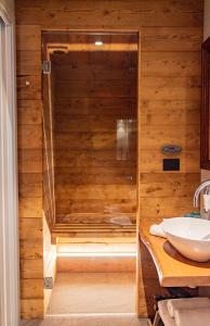 Maison Bionaz Ski & Sport的一间浴室
