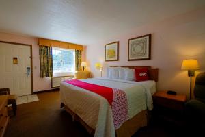 尤里卡斯普林斯Hotel O Eureka Springs - Christ of Ozark Area的一间设有大床和窗户的酒店客房