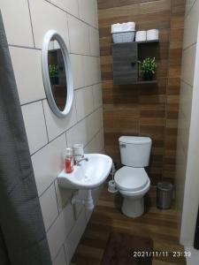 塔拉波托Brazilian's House - Agradable casa amoblada的一间带卫生间和水槽的浴室