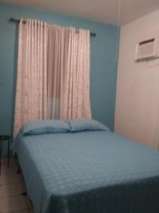 阿瓜迪亚布里萨斯博林肯公寓的一间卧室配有一张蓝色的床和窗户