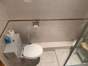 Appartement Gipsa III - WIFI - PARKING PRIVÉ的一间浴室