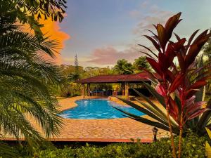 CuipoPrivate Tropical Paradise - Gatuncrocs的花园内带凉亭的游泳池