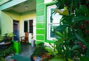 土格加劳RedDoorz D128 Lodge Cagayan Valley的绿色和黄色的房子,有窗户和植物