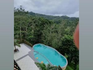 玛纳多迪Serene Crest Resort的享有森林中央游泳池的景色