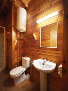 佩尼斯科拉费雷尔营地简易别墅的一间带卫生间和水槽的浴室