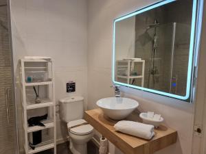 塞戈尔韦Alojamientos Segóbriga Rural (Montaña)的一间带水槽、卫生间和镜子的浴室