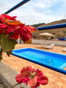 卡皮托利乌Pousada Doce Villa的游泳池旁的红花