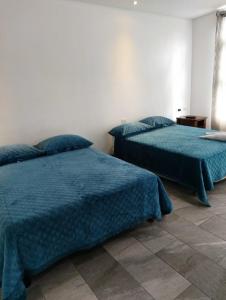 奎波斯城Pura vida apartments的一间卧室配有两张带蓝色棉被的床