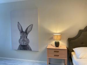 吕特延堡达斯奥斯特斯布里克酒店的一张睡床旁墙上的兔子照片
