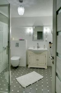 Česká VesPenzion Swist的一间带水槽、卫生间和镜子的浴室