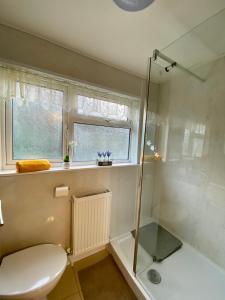 卡菲利Ty-Nance Cottage的带淋浴和卫生间的浴室以及窗户。