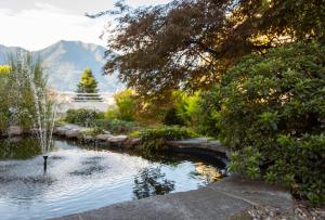 洛迦诺Smart-HOTEL MINUSIO, a Benvenuti Hotel的山 ⁇ 花园中的池塘