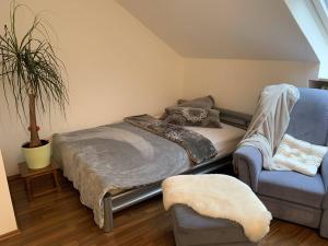 Hilter am Teutoburger Wald2 - Zimmer Wohnung的一间卧室配有一张床、一张沙发和一把椅子